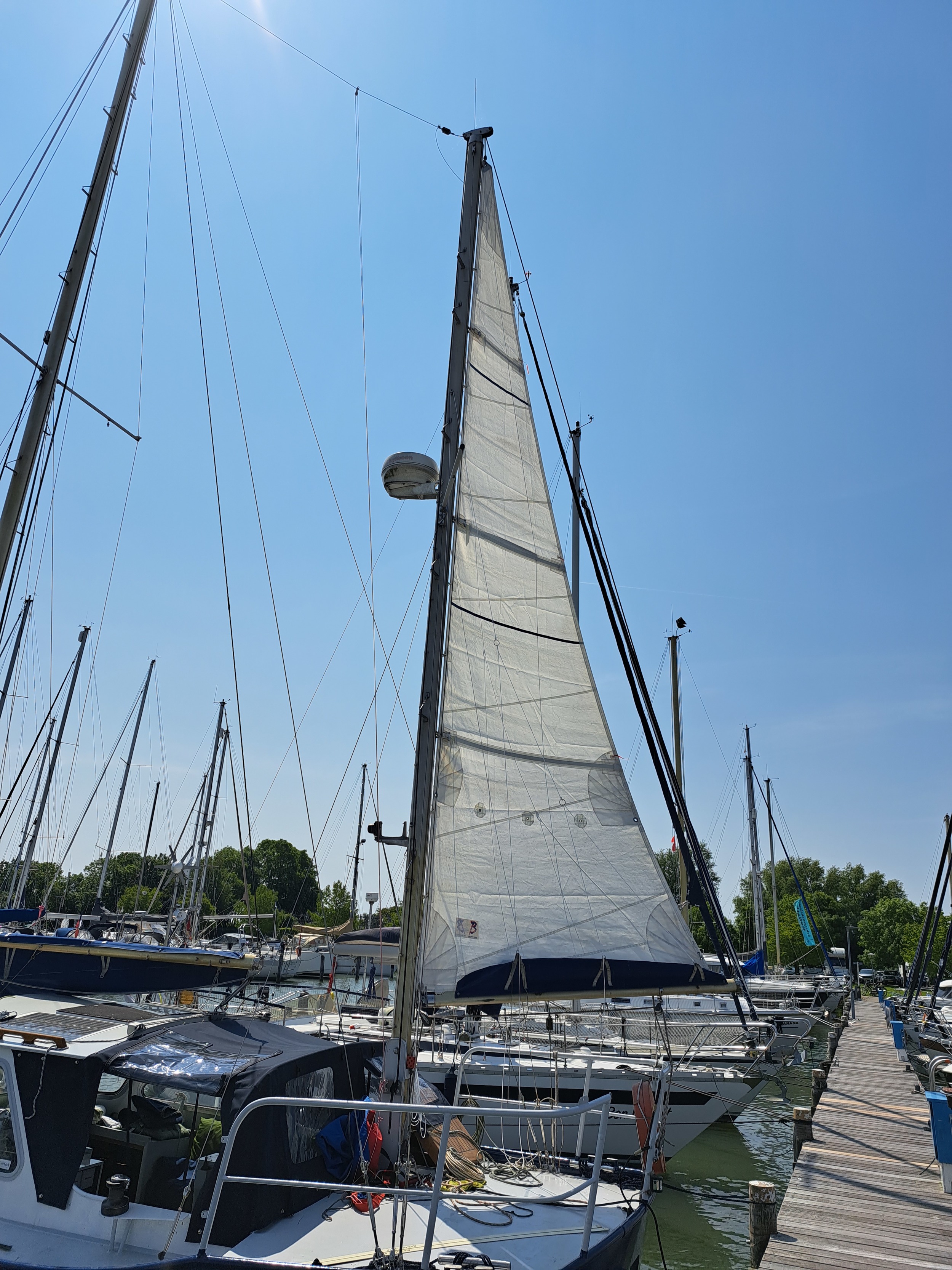Pieter Beeldsnijder Gouwzee 3A