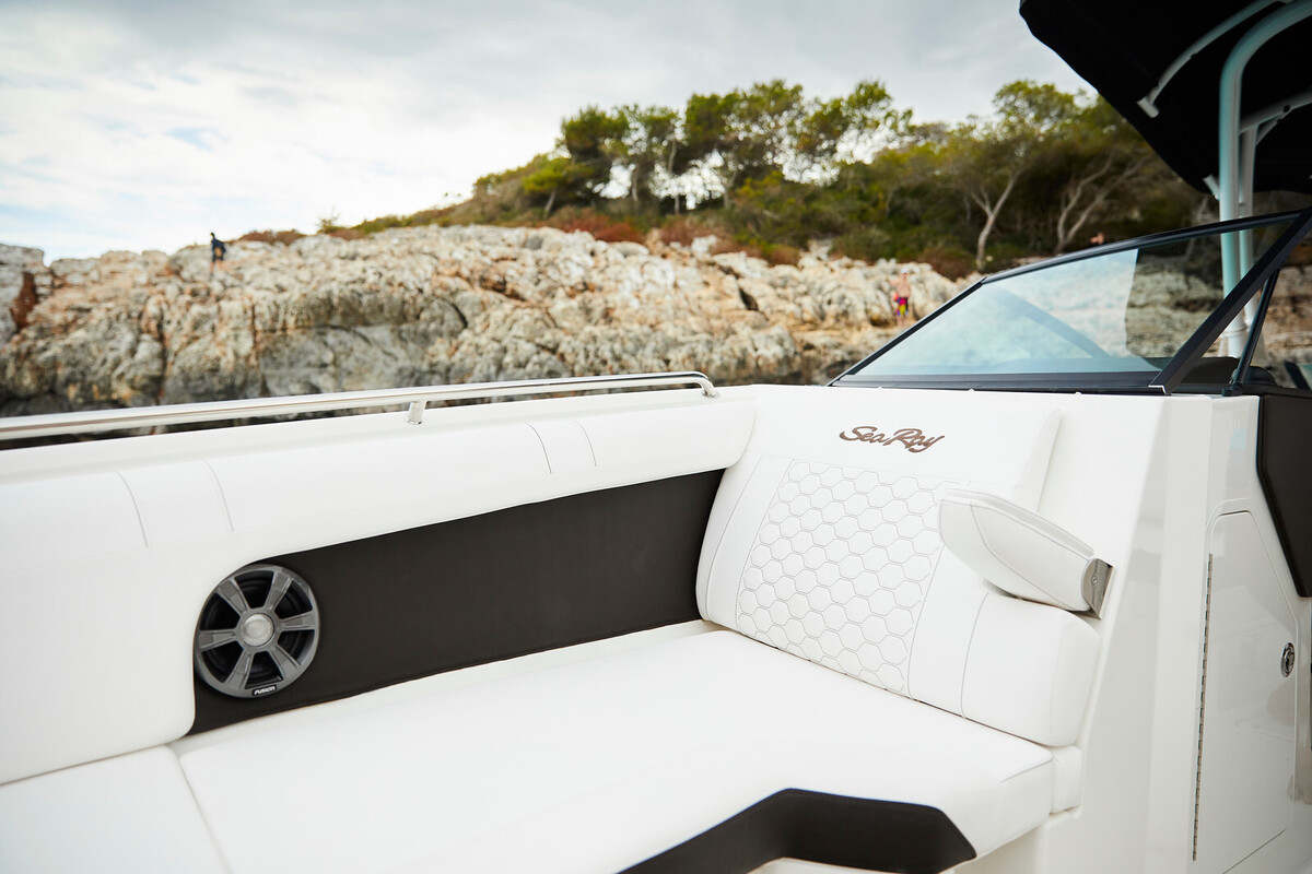 Sea Ray SDX 270