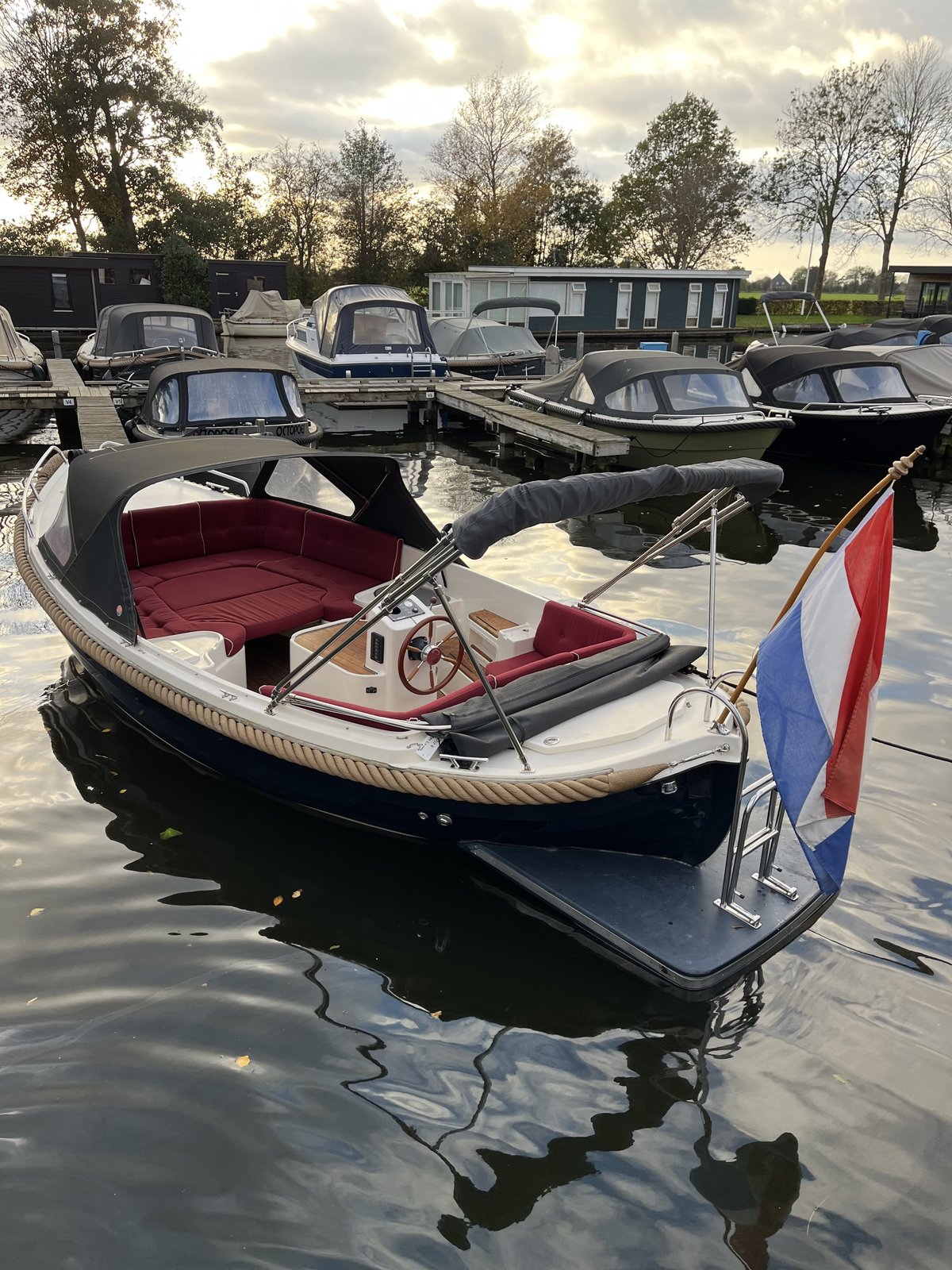 Zarro Excellent 6.50 