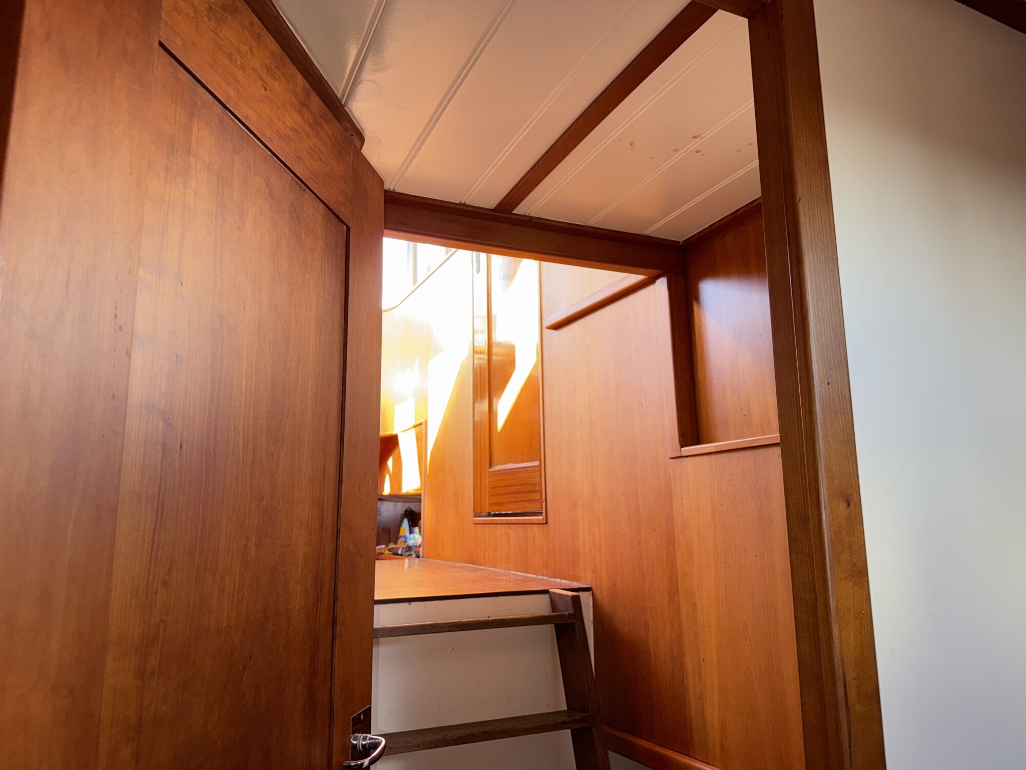 Noordzeekotter ‘WR 134’