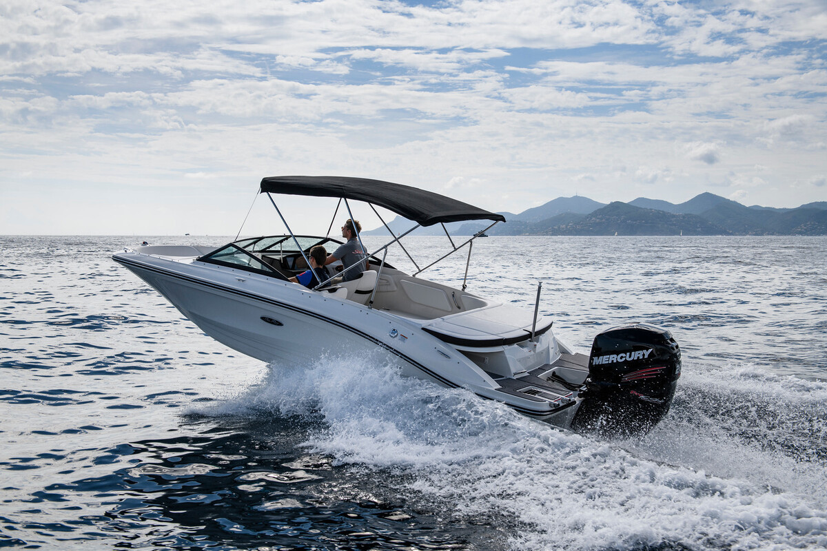 Sea Ray SPX 210 Outboard