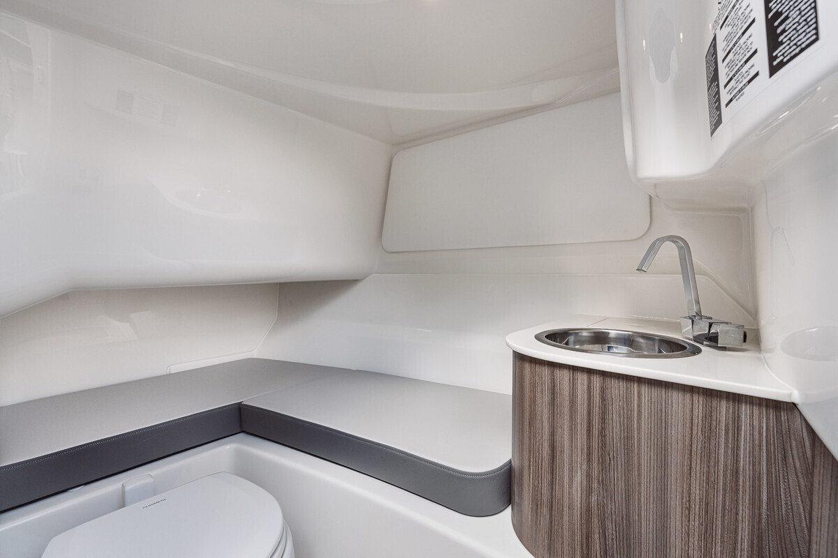 Sea Ray SDX 250