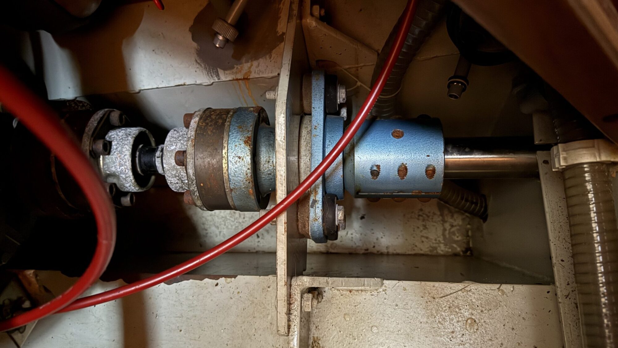 Monty Bank Kotter 41 AK Cabrio