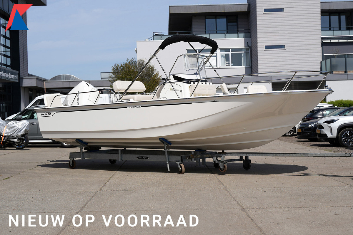 Boston Whaler 210 Montauk
