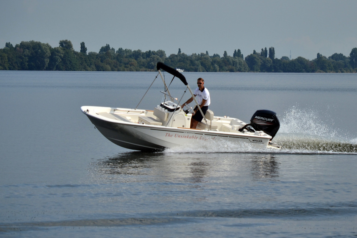 Boston Whaler 170 Montauk