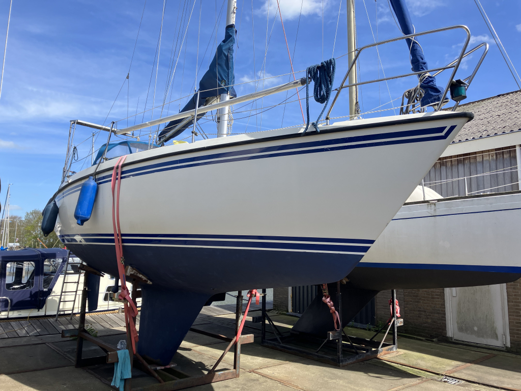 Sunwind 31