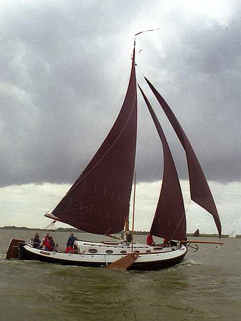 Blom Lemsteraak Roefaak 12.10