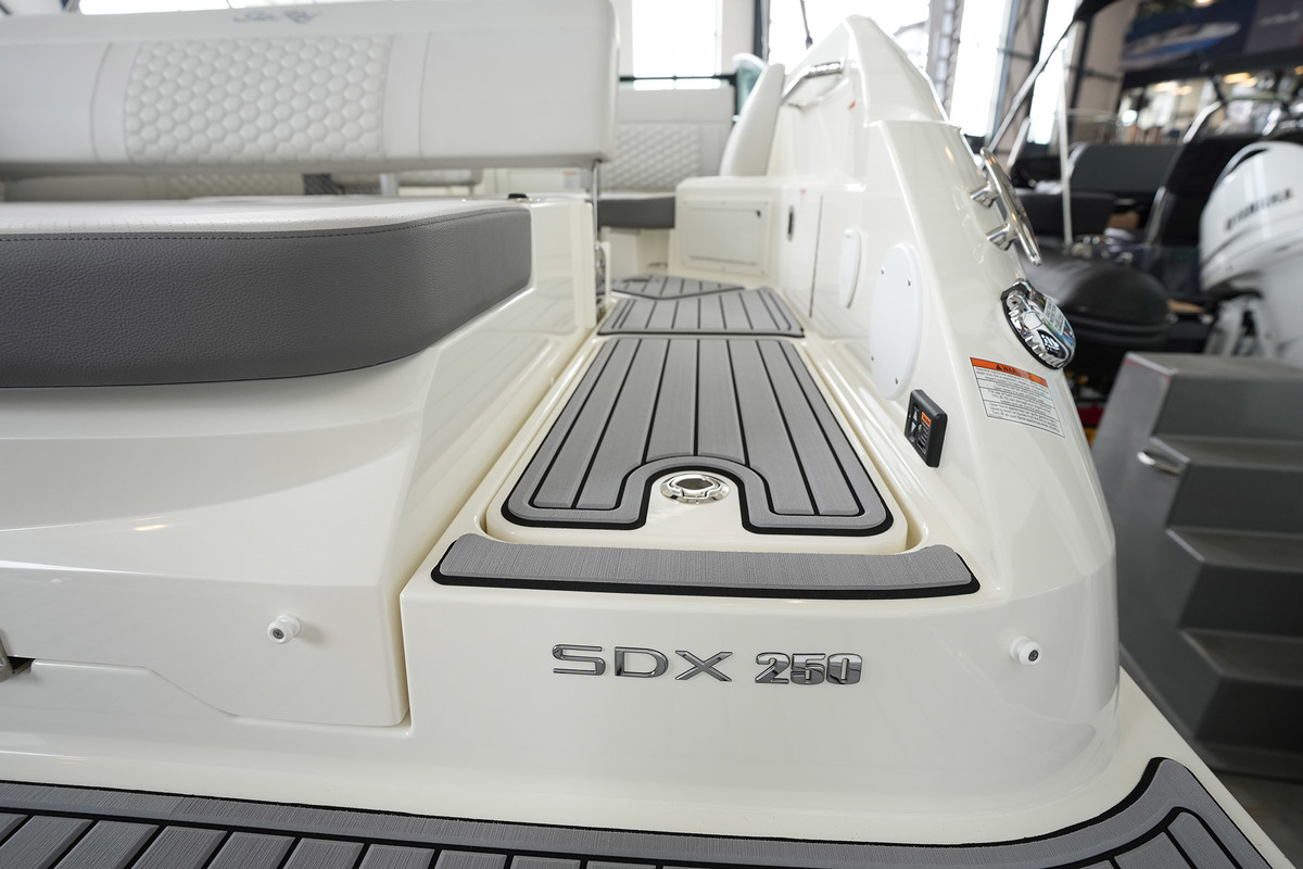 Sea Ray SDX 250