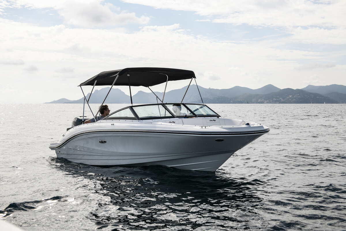 Sea Ray SPX 210 Outboard
