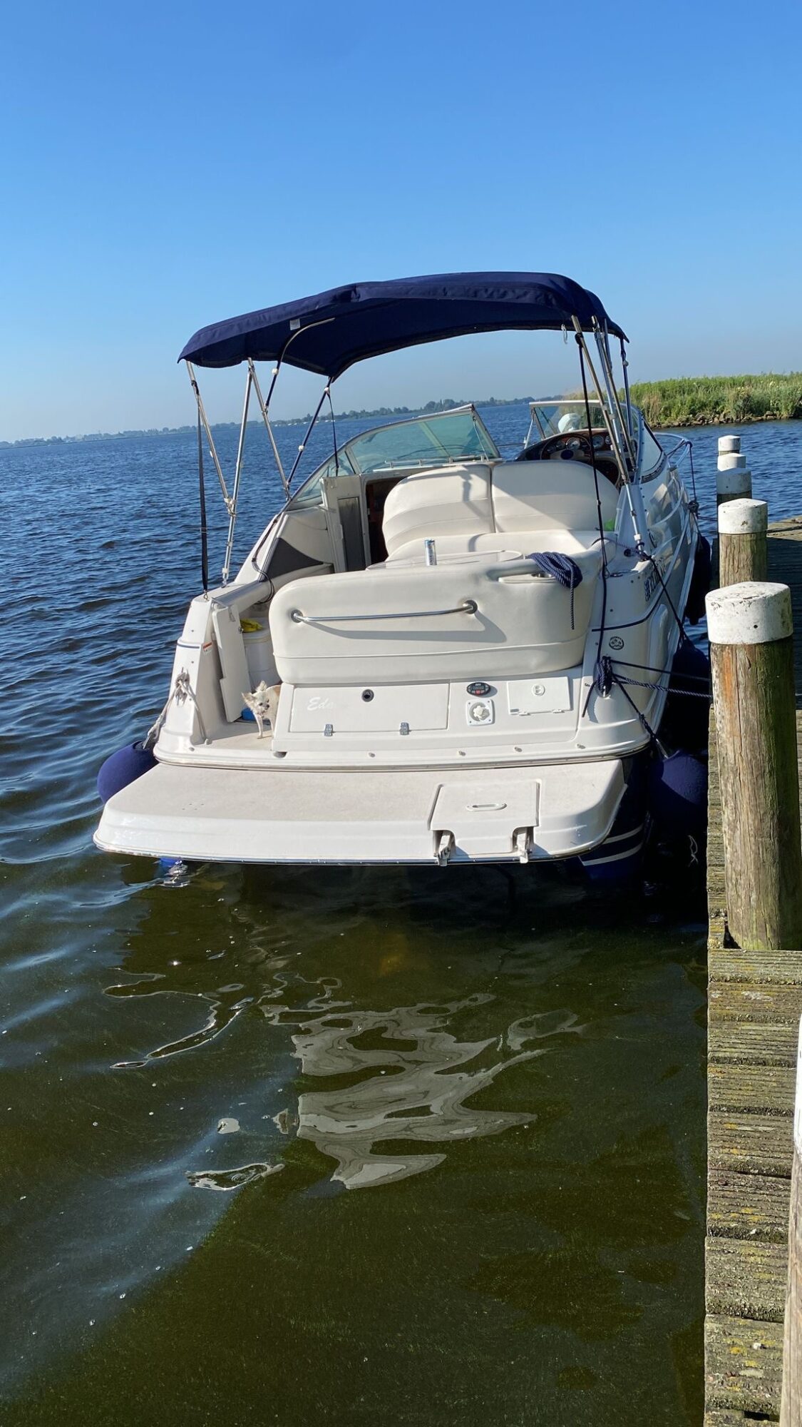 Four Winns 248 Vista