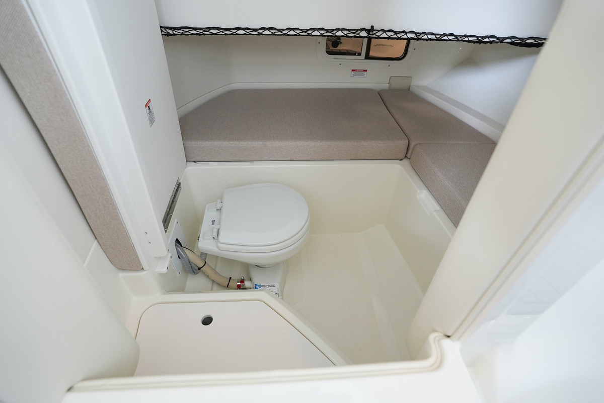 Sea Ray SDX 250