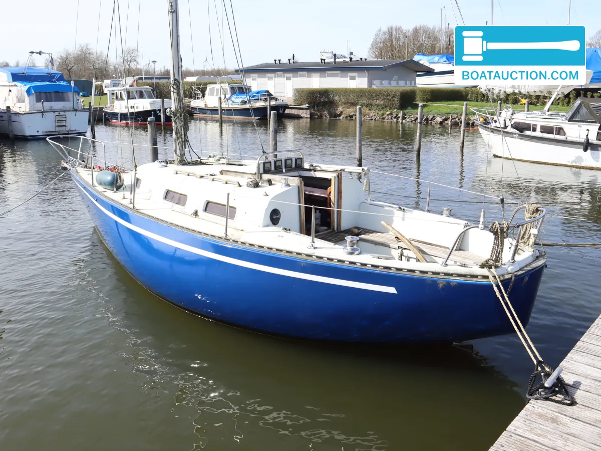 Martin 29