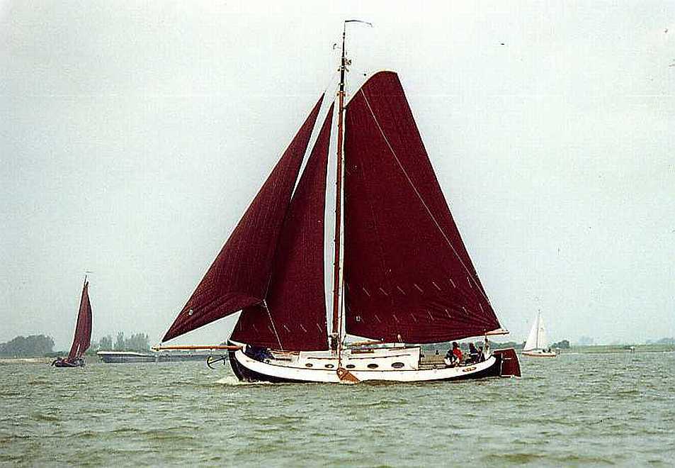 Blom Lemsteraak Roefaak 12.10