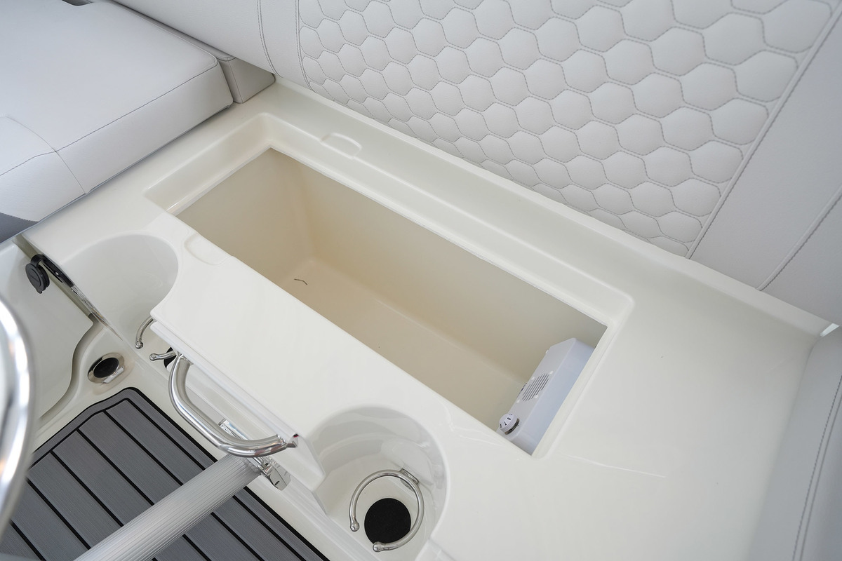 Sea Ray SDX 250
