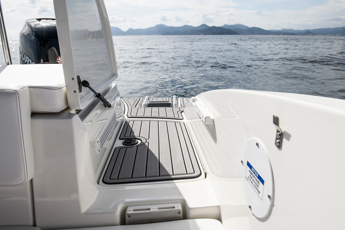 Sea Ray SPX 210 Outboard