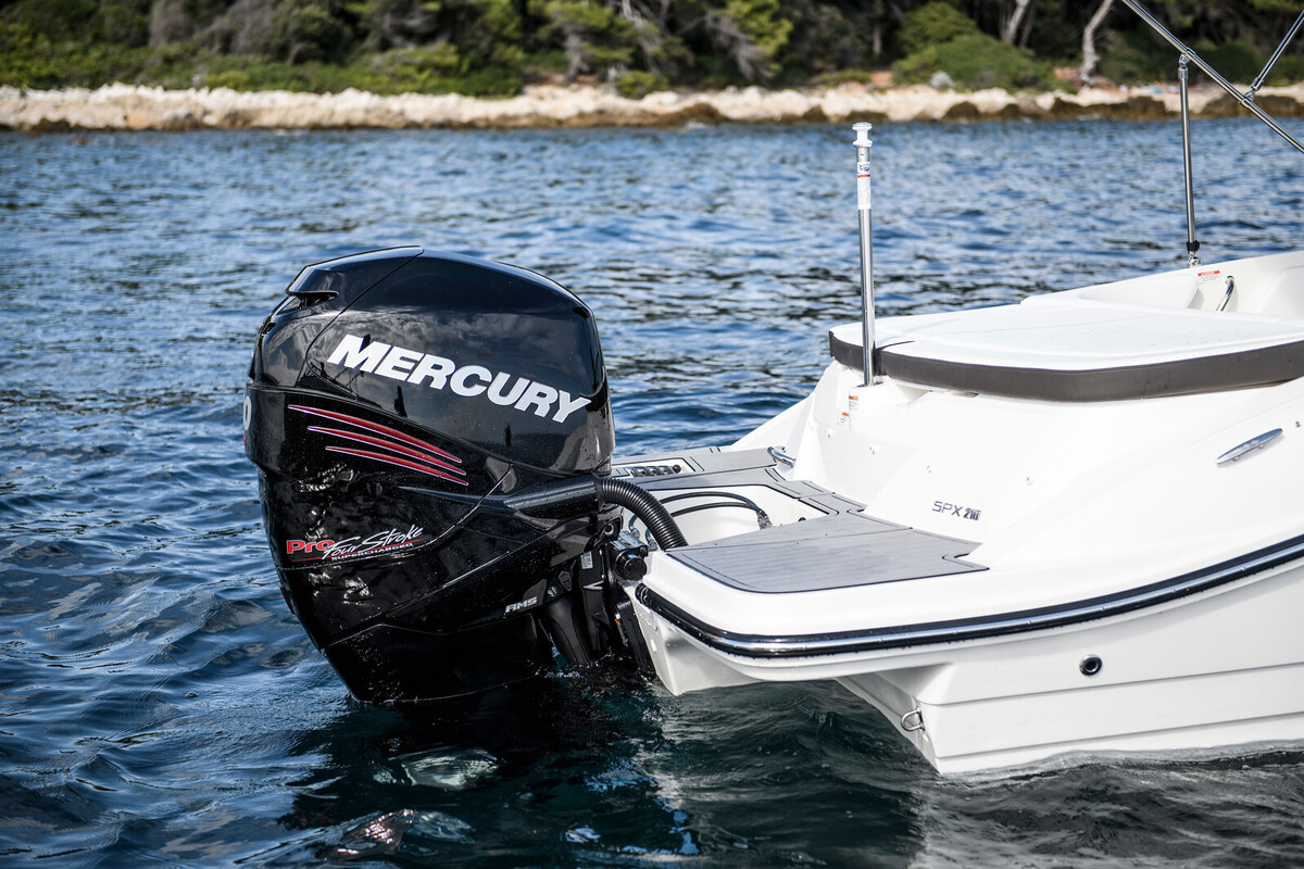 Sea Ray SPX 210 Outboard