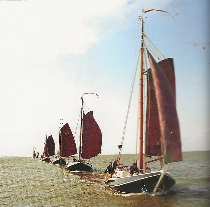 Hoogaars - Platbodem 10.00