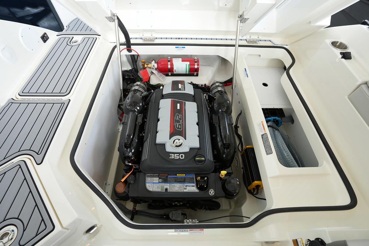 Sea Ray SDX 250