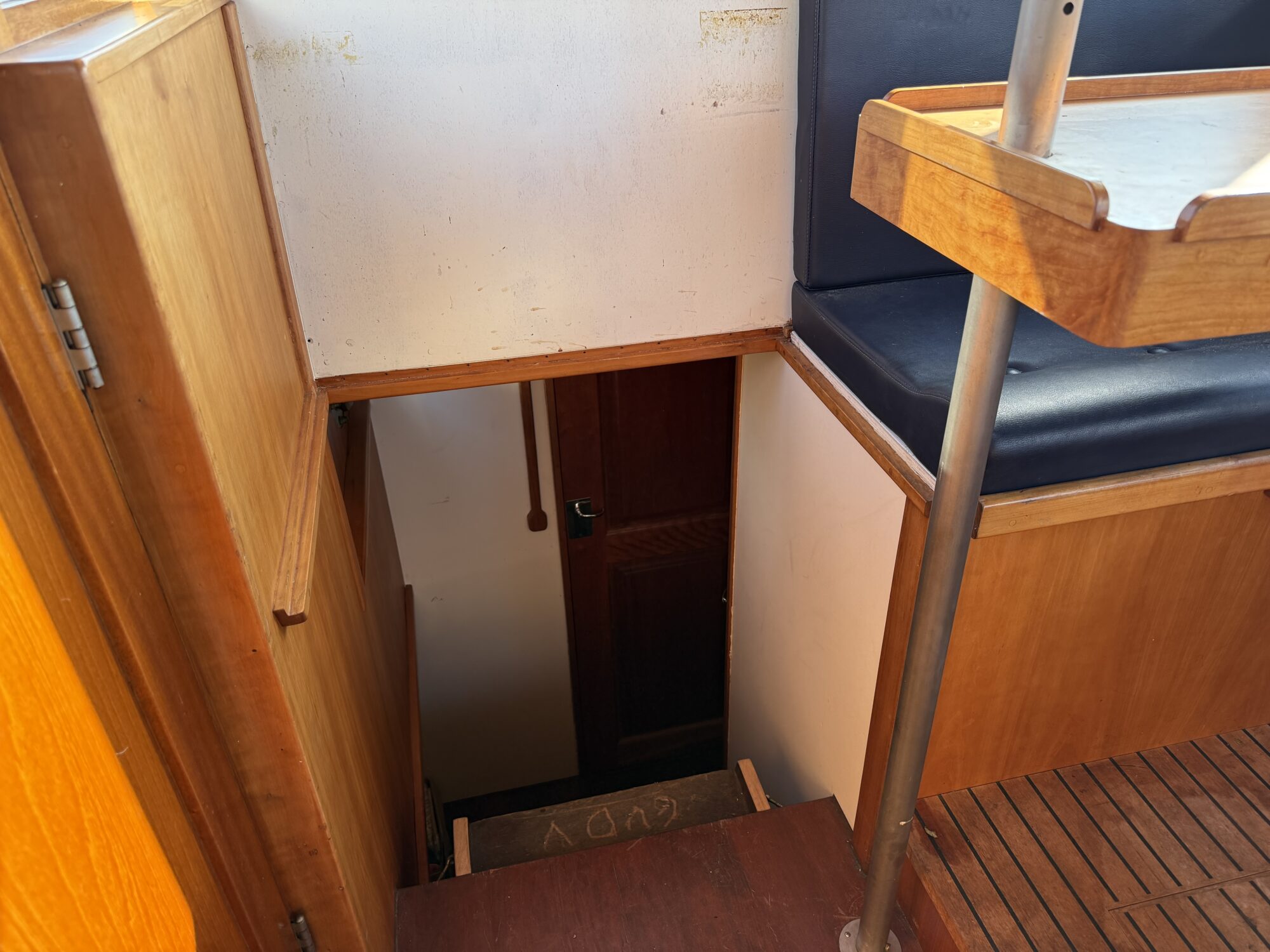 Noordzeekotter ‘WR 134’