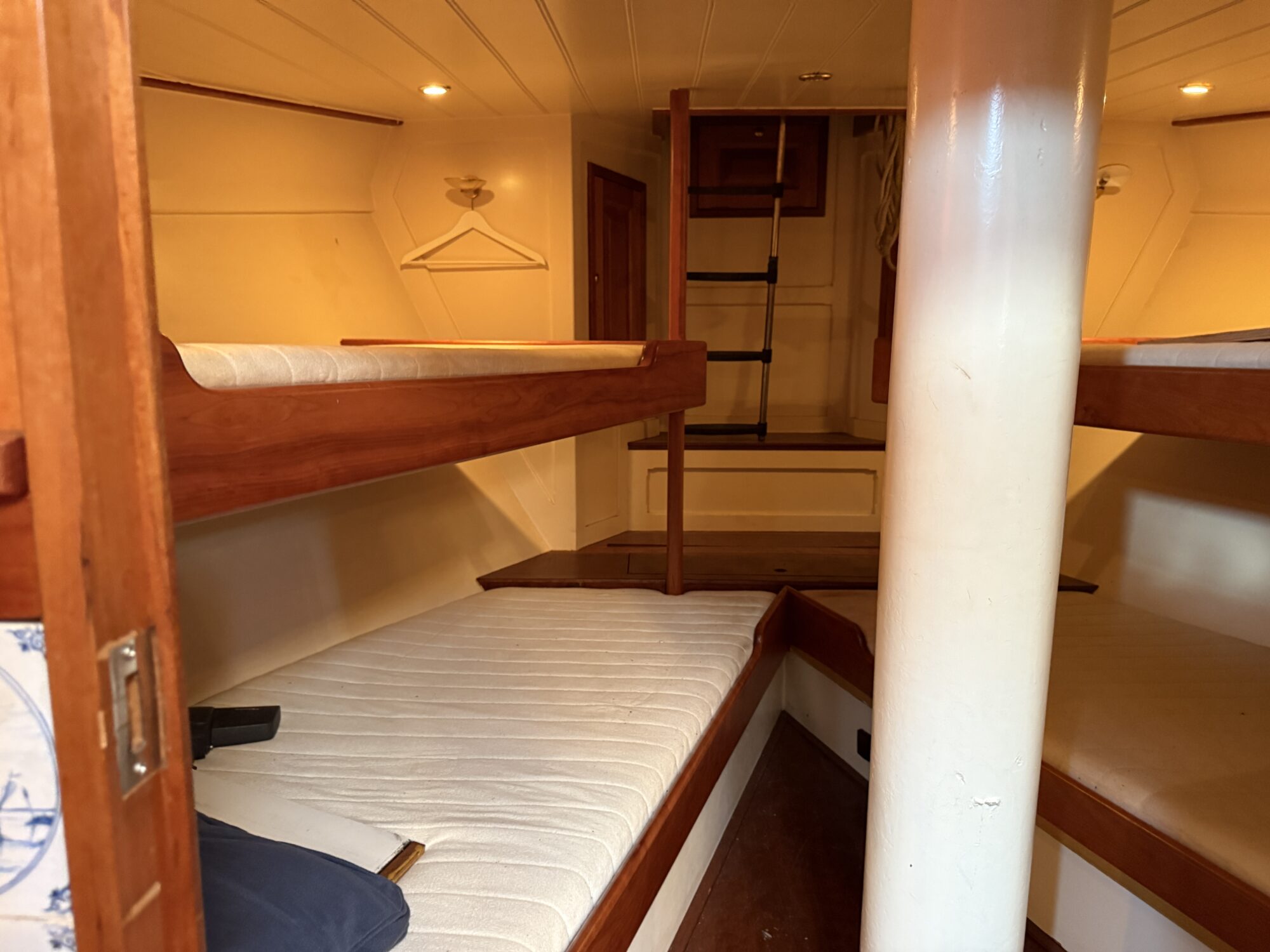 Noordzeekotter ‘WR 134’