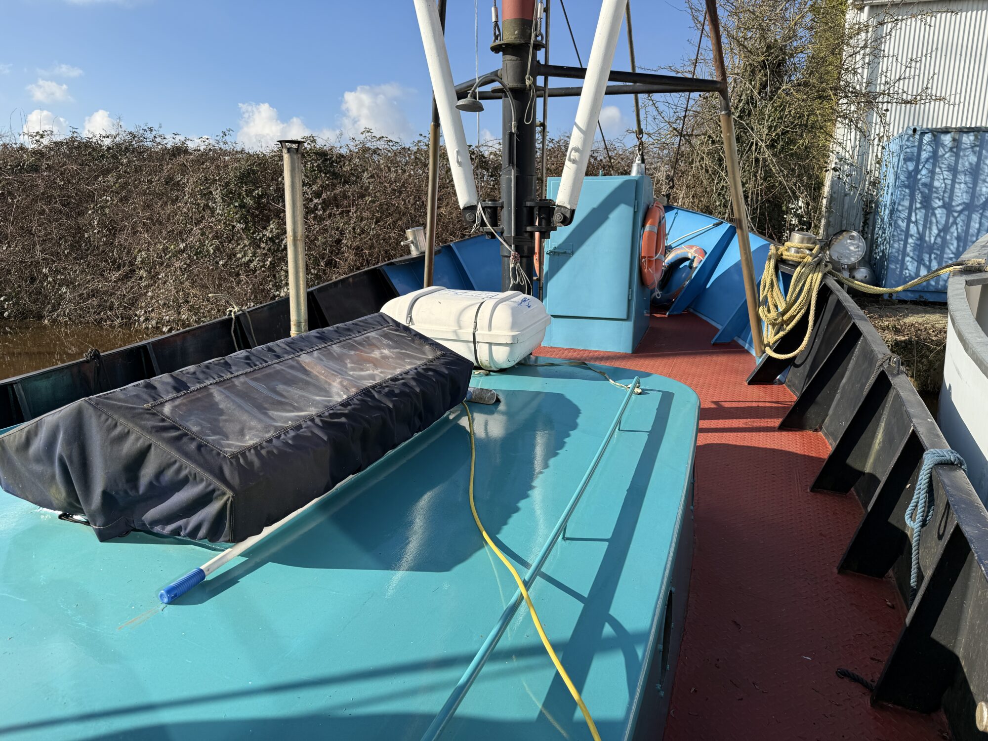 Noordzeekotter ‘WR 134’