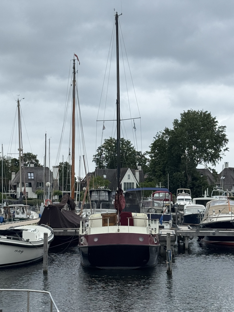 De Wit Kotter 1000
