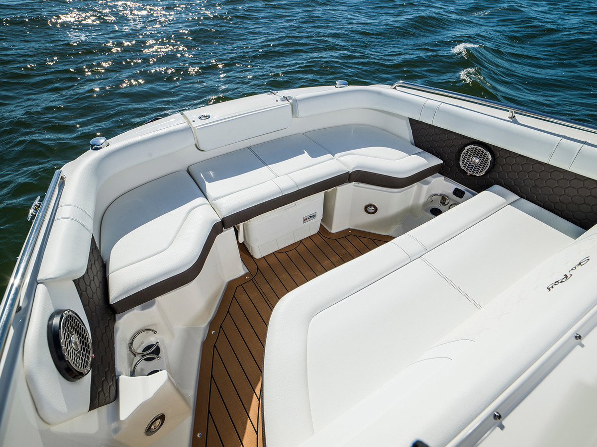 Sea Ray SDX 250