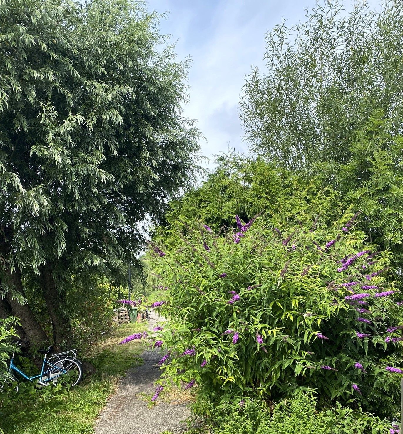 Klipperaak 16.93 M. Met Ligplaats