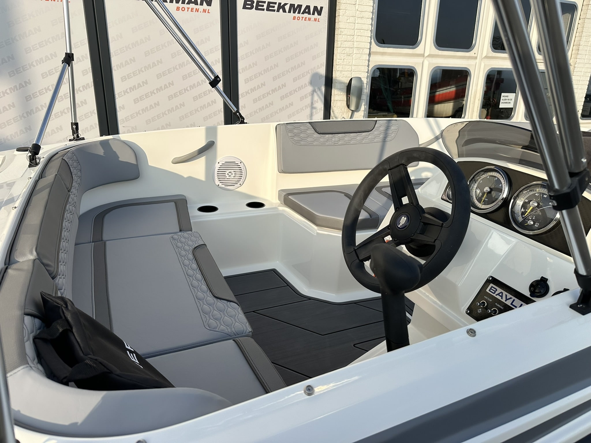 Bayliner Element M15