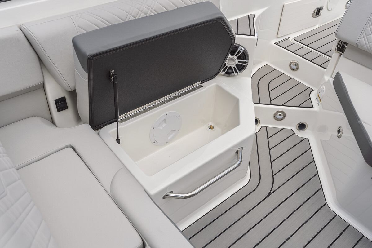 Sea Ray SDX 250