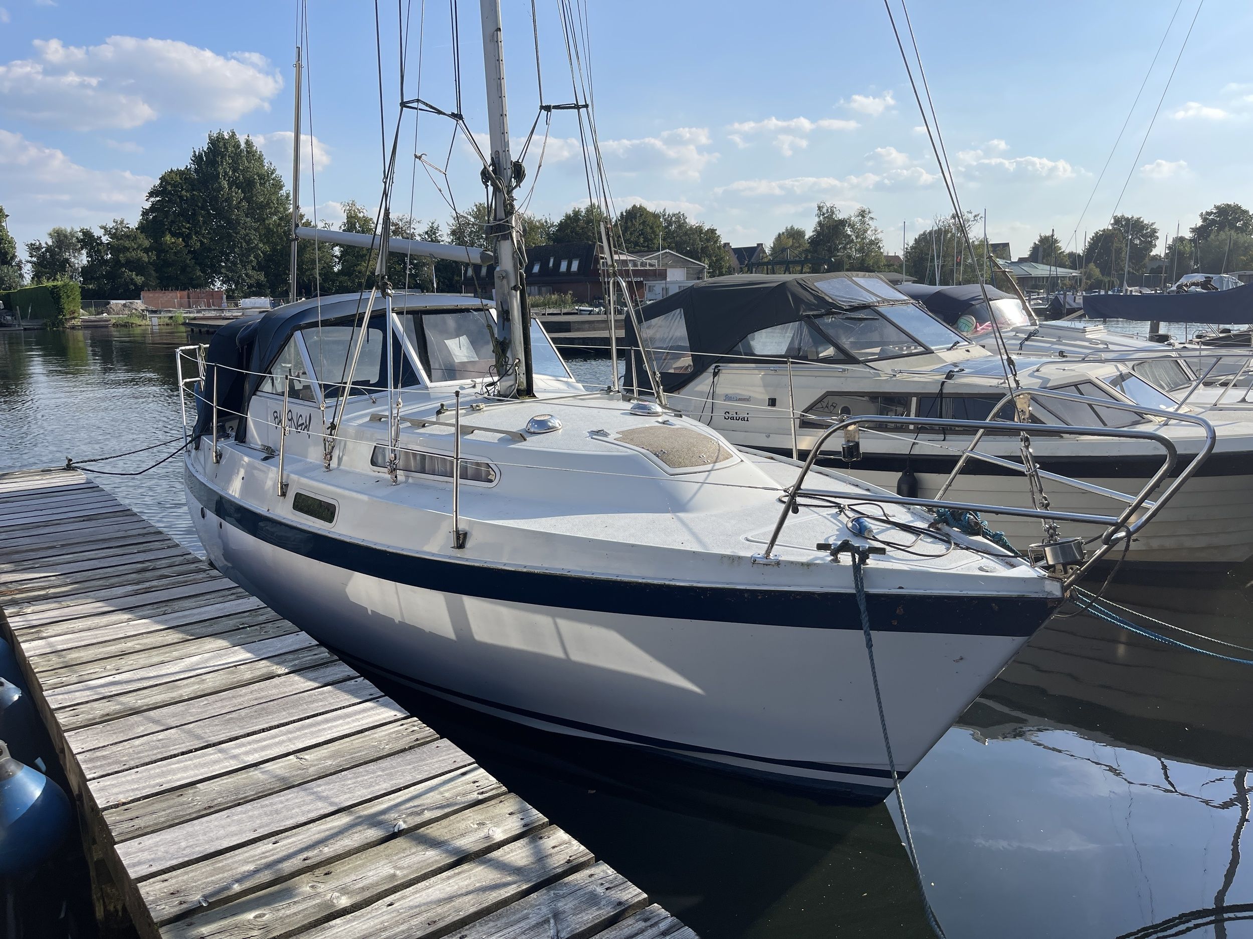 Albin 82 MS