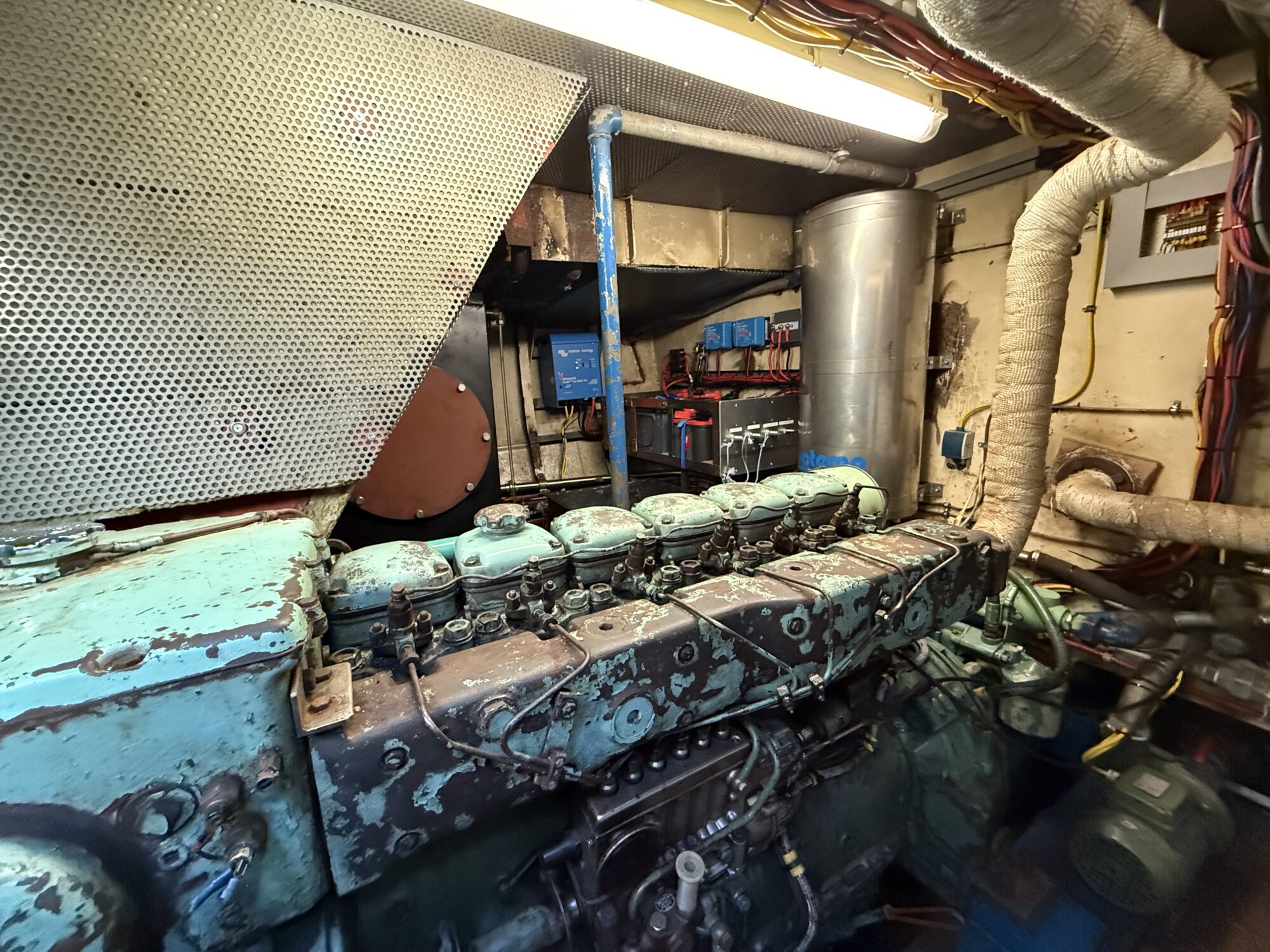 Noordzeekotter ‘WR 134’