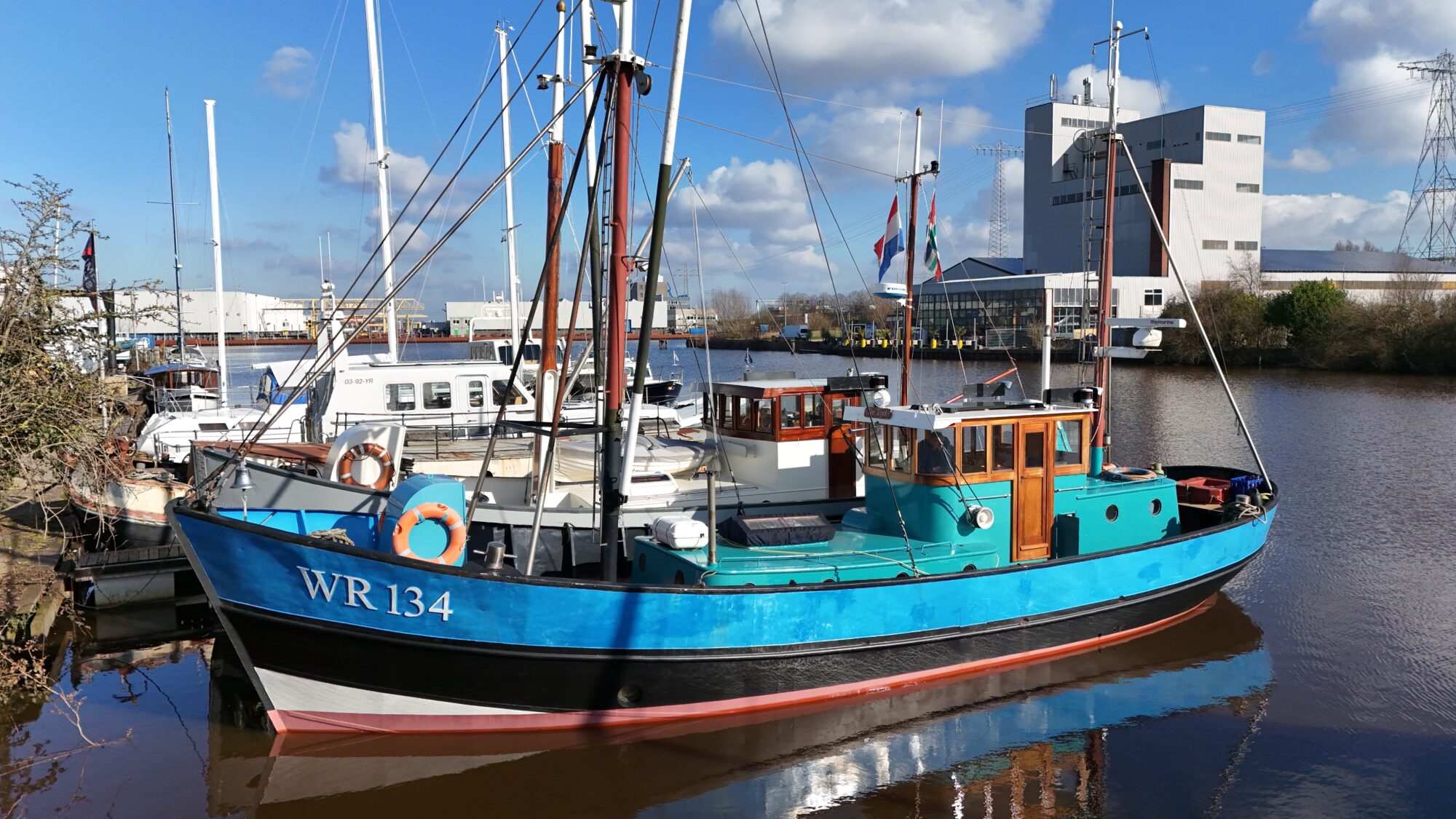 Noordzeekotter ‘WR 134’