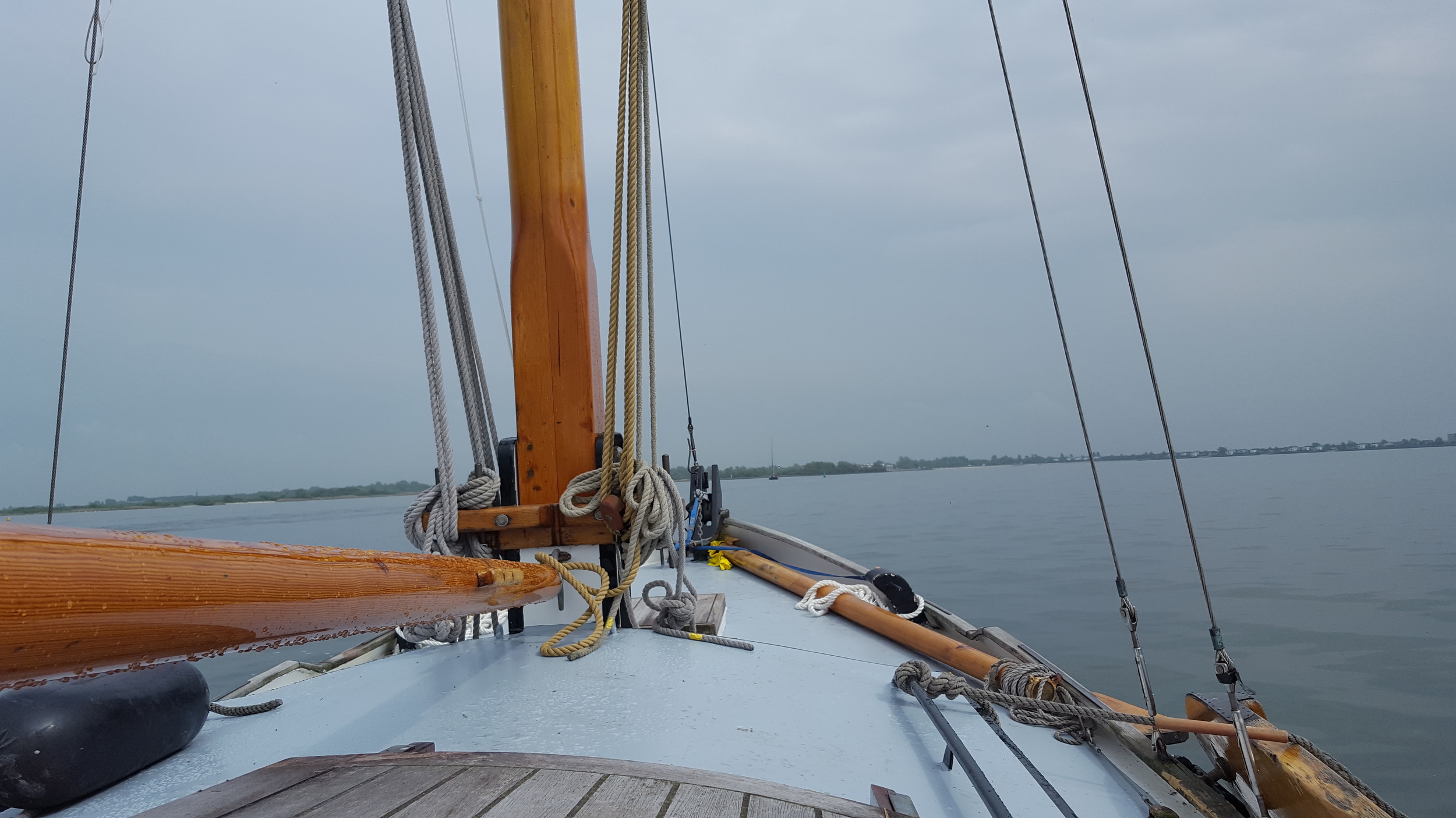 Vredenburgh Schokker 984