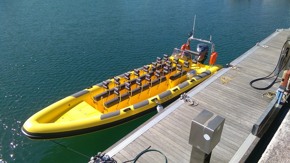 Hydrosport 909 VFI