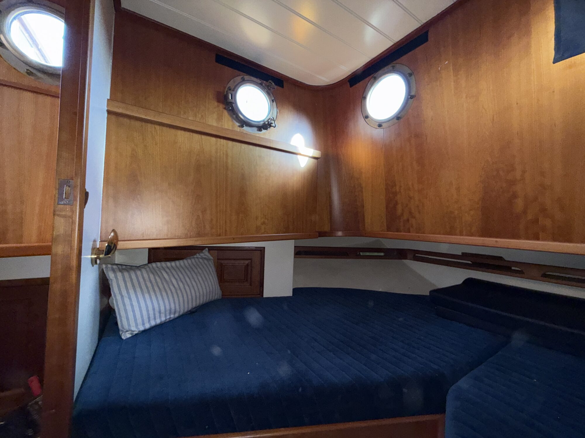 Noordzeekotter ‘WR 134’