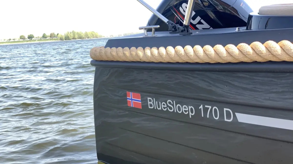 BleuSloep  170d