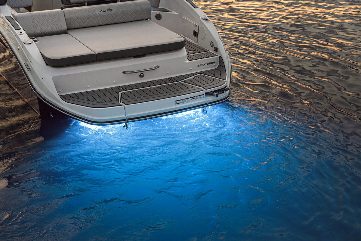 Sea Ray SDX 250