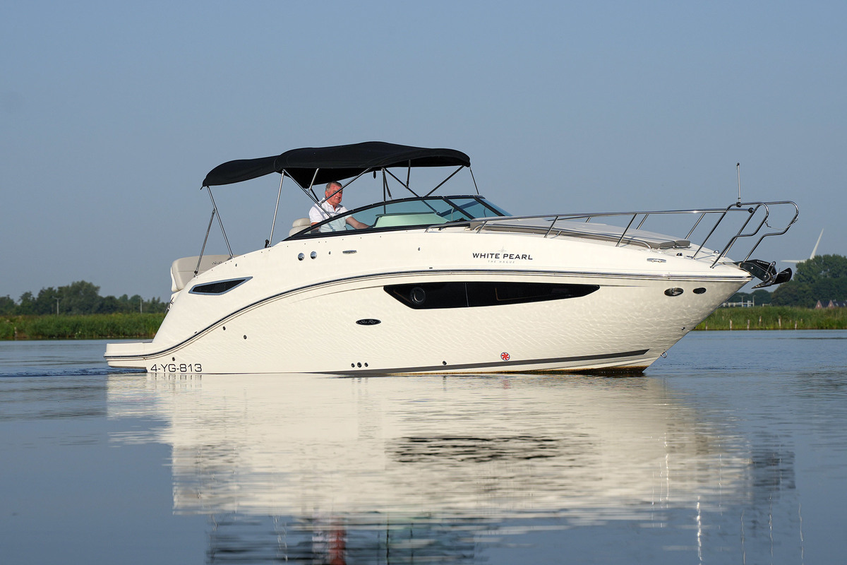 Sea Ray 265
