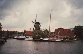 Blom Lemsteraak Roefaak 12.10