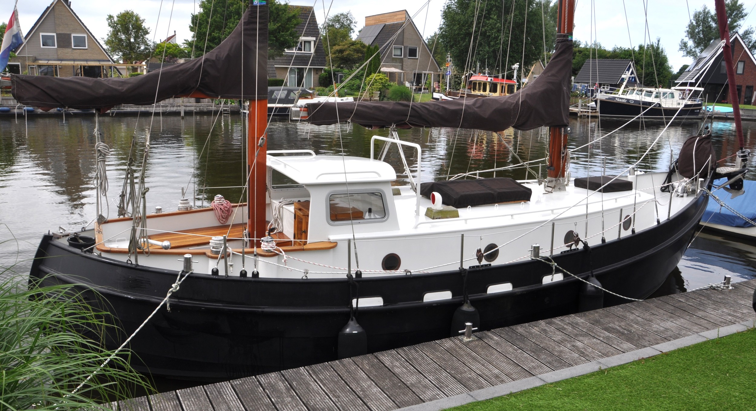 Danish Rose 31