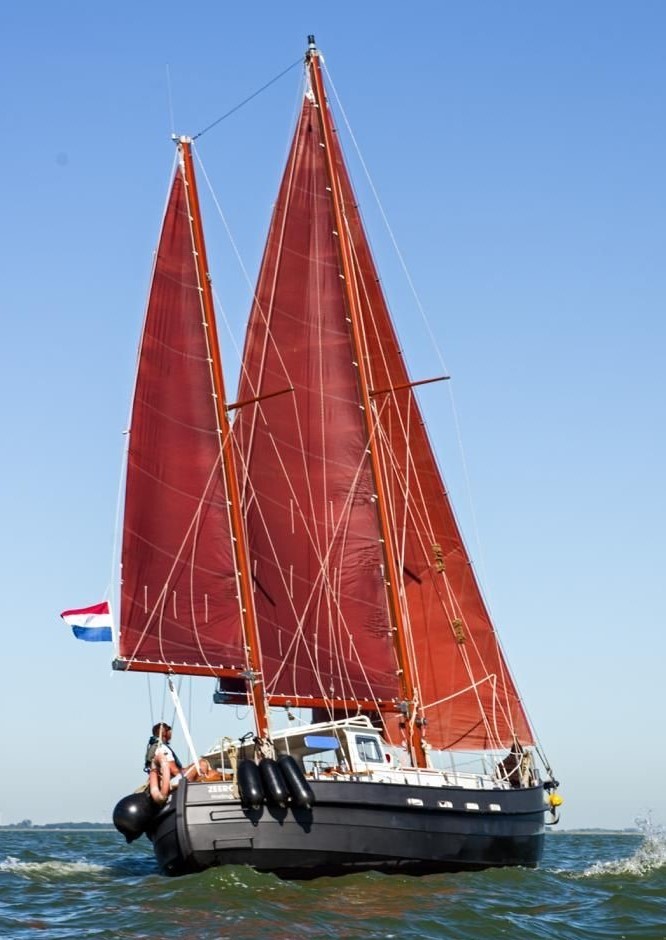 Danish Rose 31