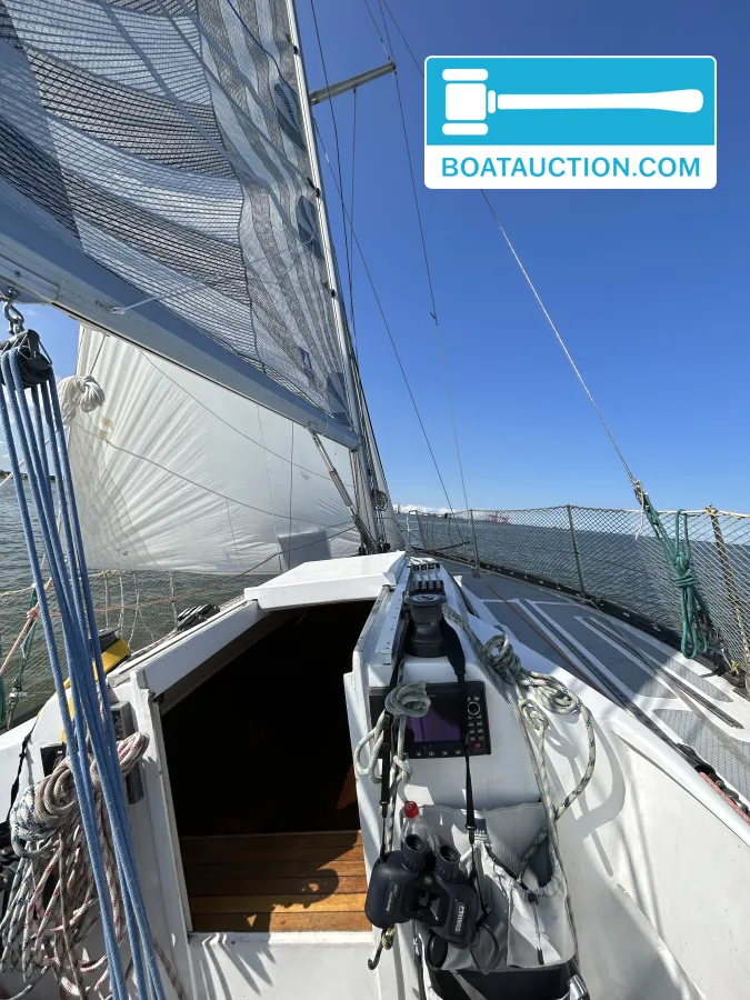 Helmsman 31
