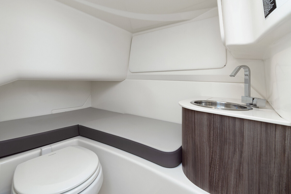 Sea Ray SDX 270 Surf