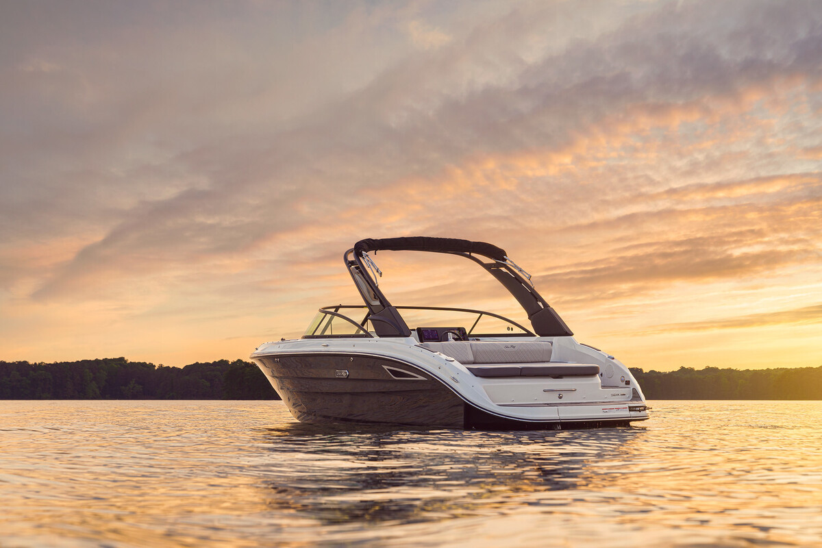 Sea Ray SDX 250