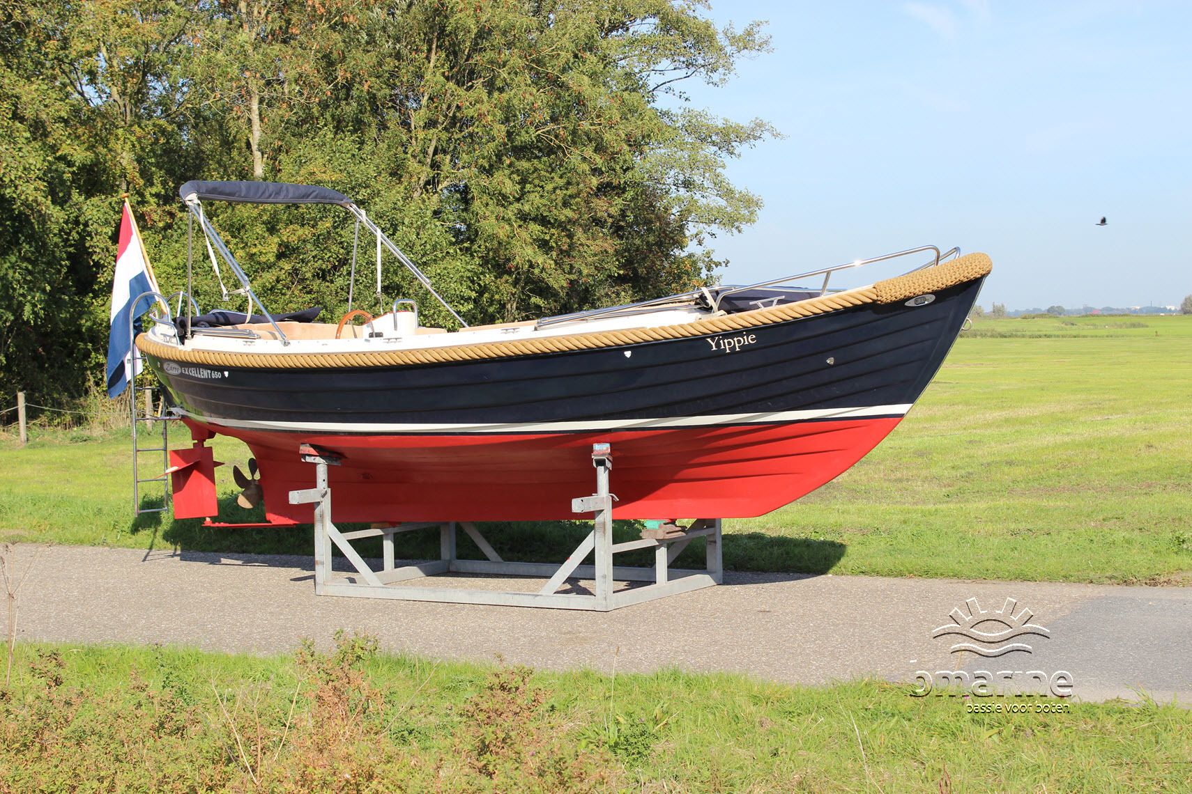 Zarro Excellent 650