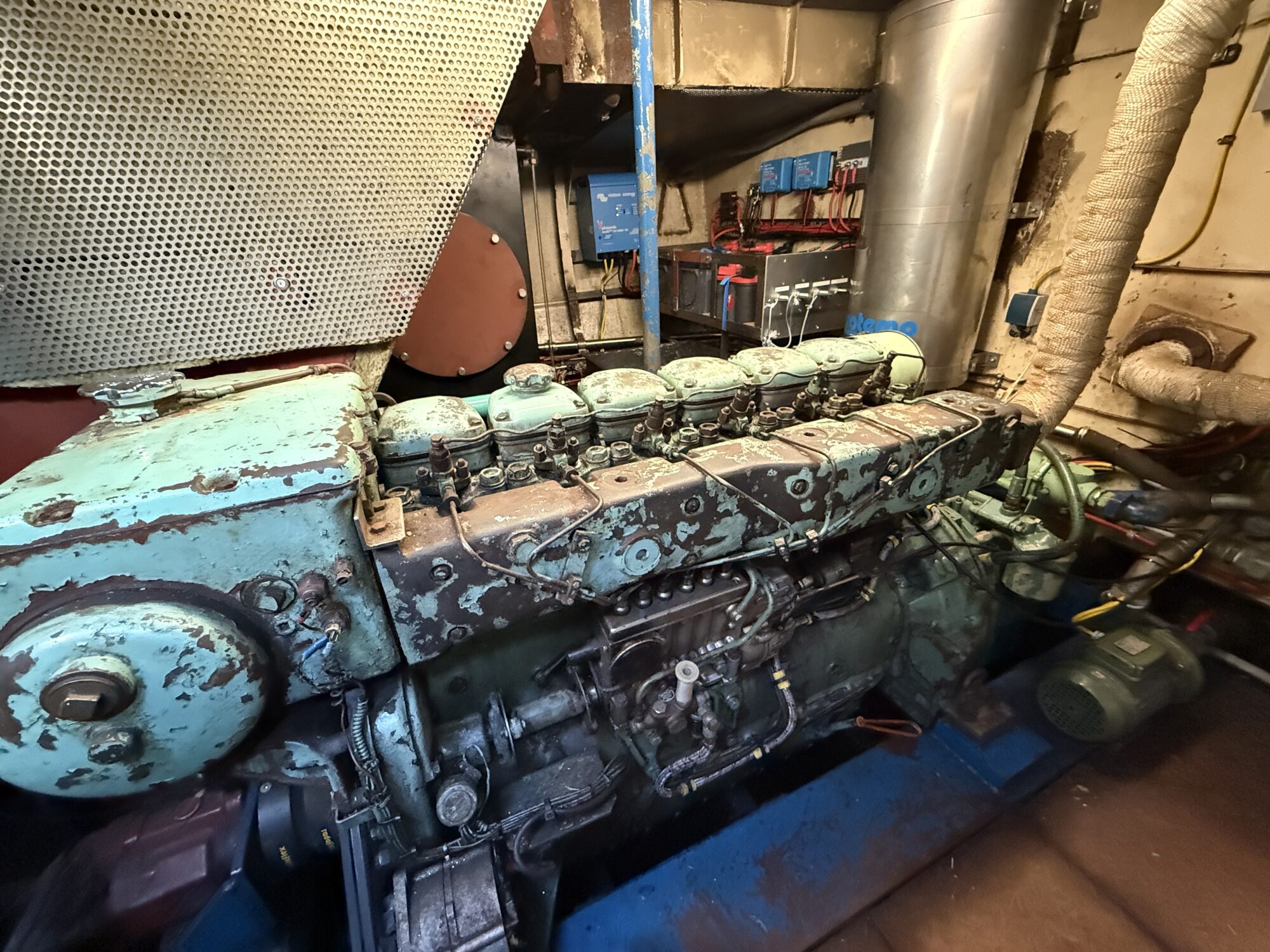 Noordzeekotter ‘WR 134’