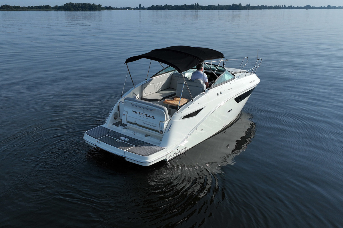Sea Ray 265