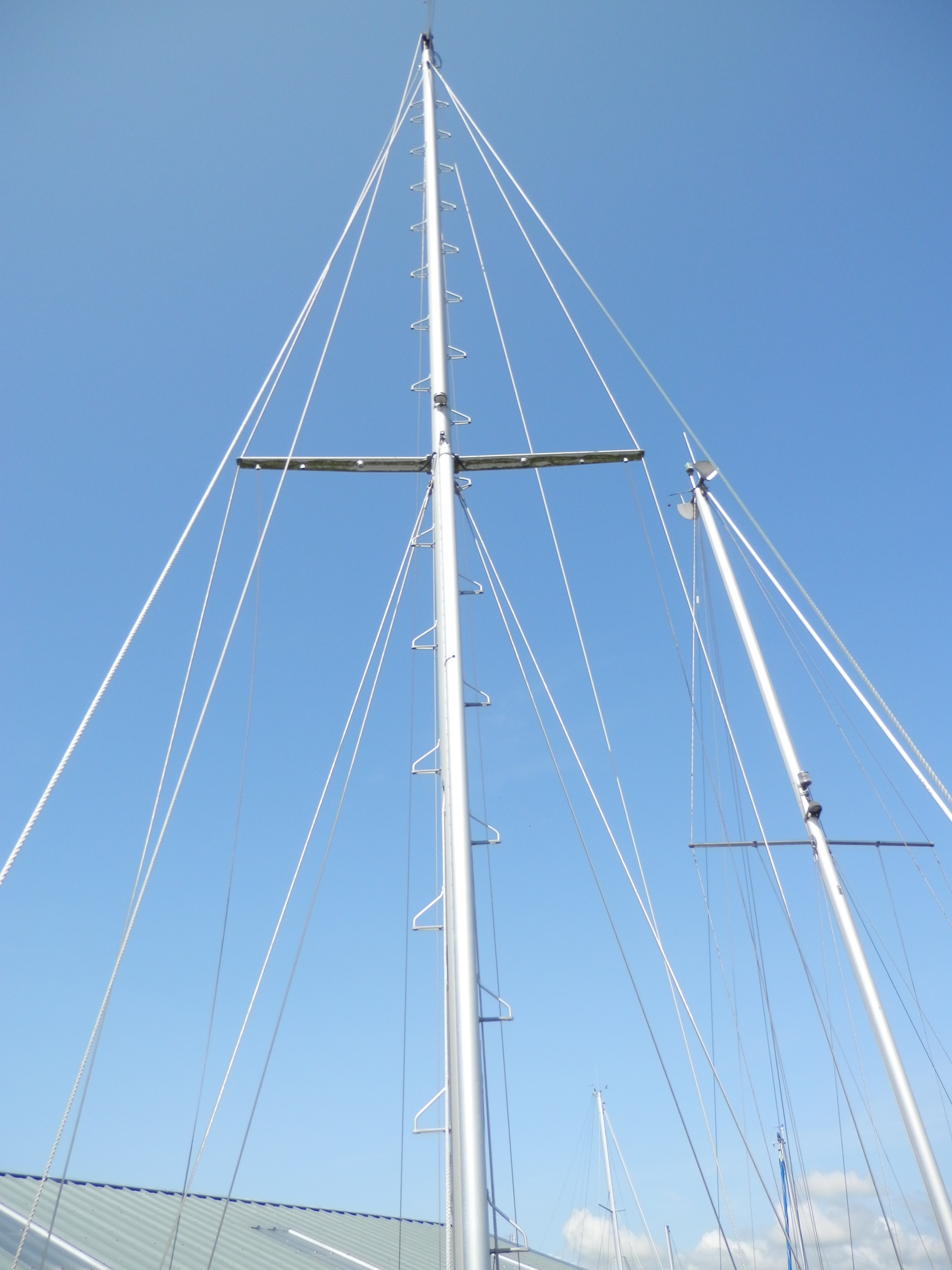 Reinke S11