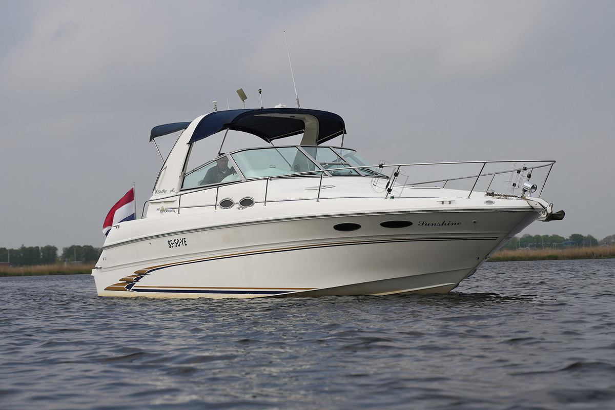 Sea Ray 310 Sundancer
